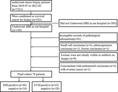 Amide proton transfer weighted imaging combined with dynamic contrast-enhanced MRI in predicting lymphovascular space invasion and deep stromal invasion of IB1-IIA1 cervical cancer